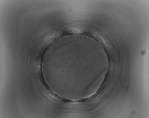 X0000094380553200711091603