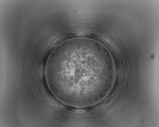 X0000094380554200711091603