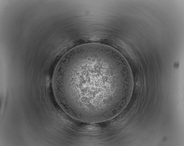 X0000094380555200711091603