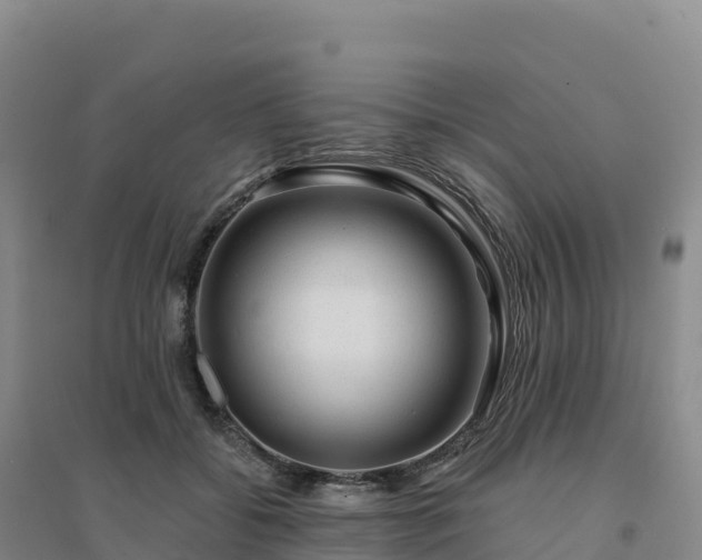 X0000094380556200711091603