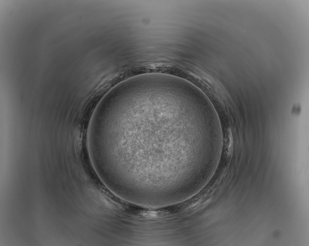 X0000094380558200711091603