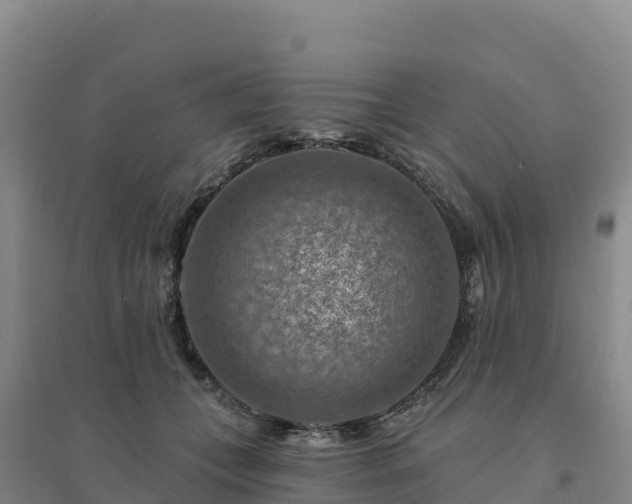 X0000094380559200711091604