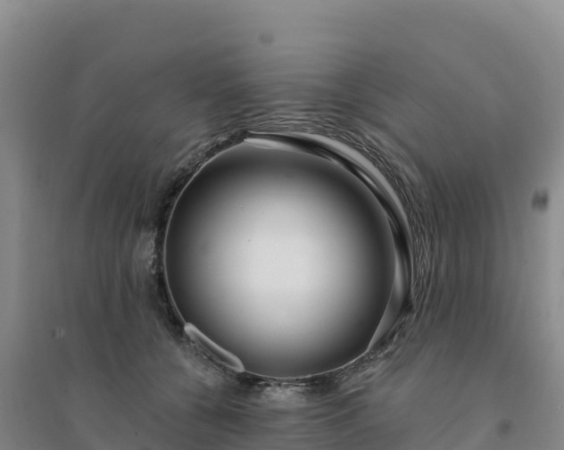 X0000094380560200711091604