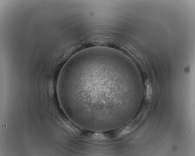 X0000094380562200711091604