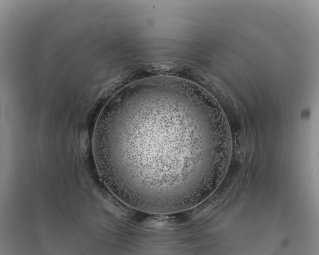 X0000094380563200711091604
