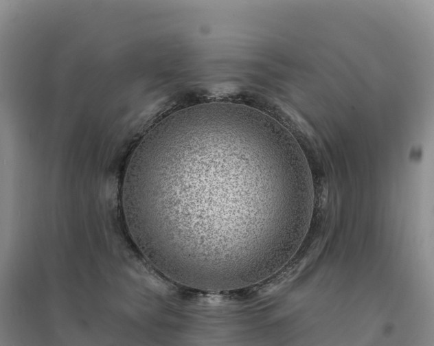 X0000094380565200711091604