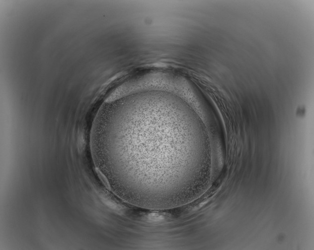 X0000094380566200711091604