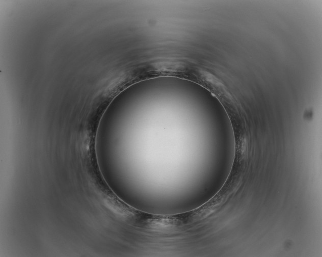 X0000094380567200711091604