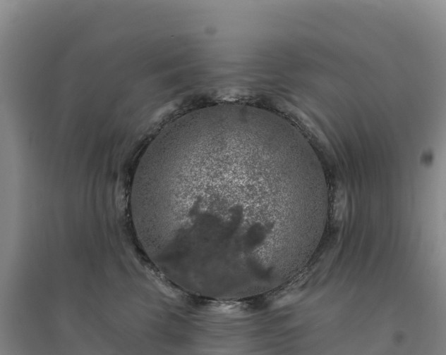 X0000094380569200711091604