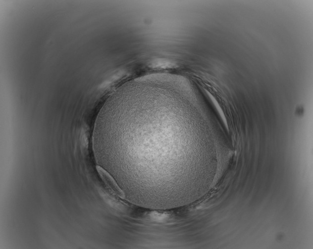 X0000094380570200711091604