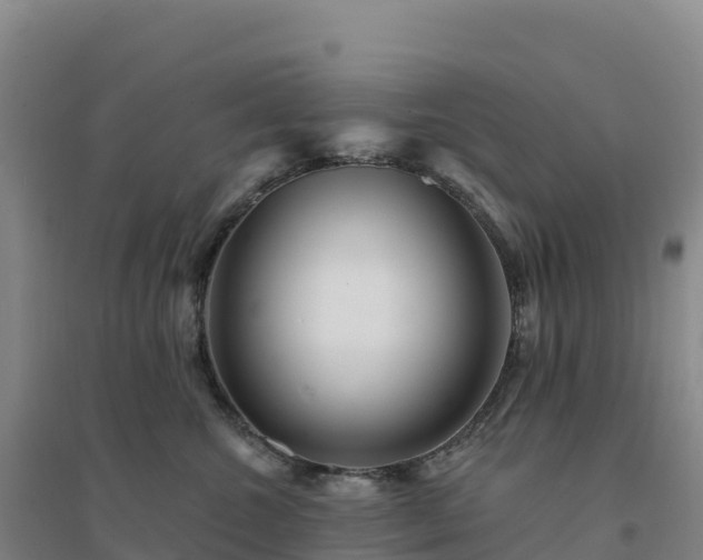 X0000094380572200711091604