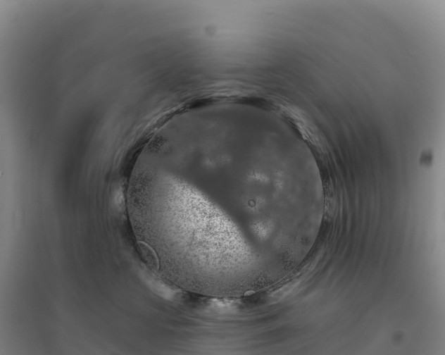 X0000094380573200711091604