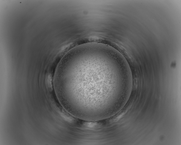 X0000094380575200711091604
