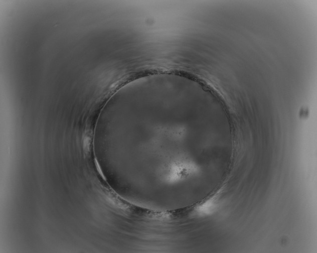 X0000094380576200711091604