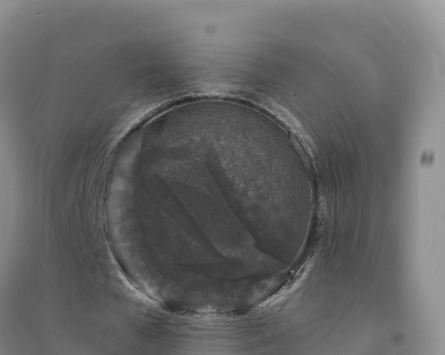 X0000094380577200711091603