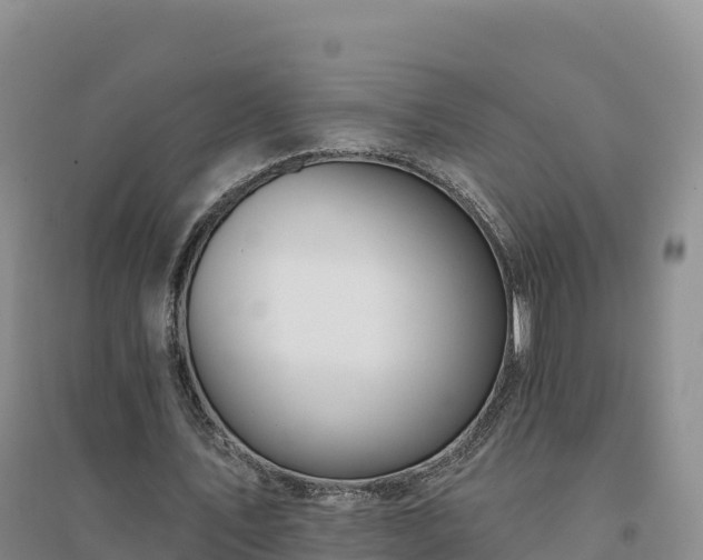 X0000094380579200711091603