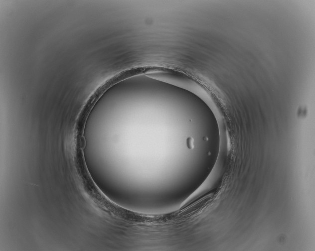 X0000094380580200711091603