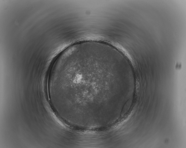 X0000094380581200711091603