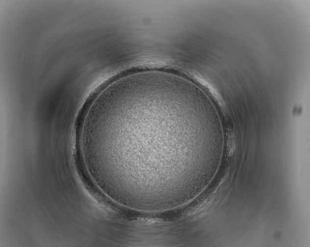 X0000094380582200711091603