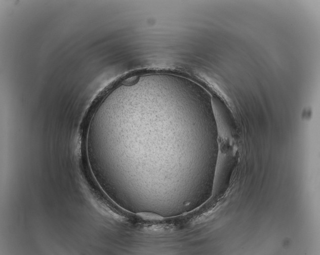 X0000094380584200711091603