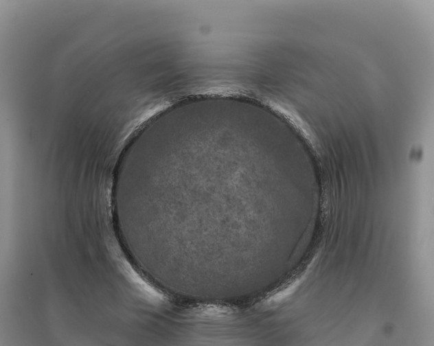 X0000094380585200711091603