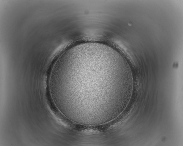 X0000094380586200711091603