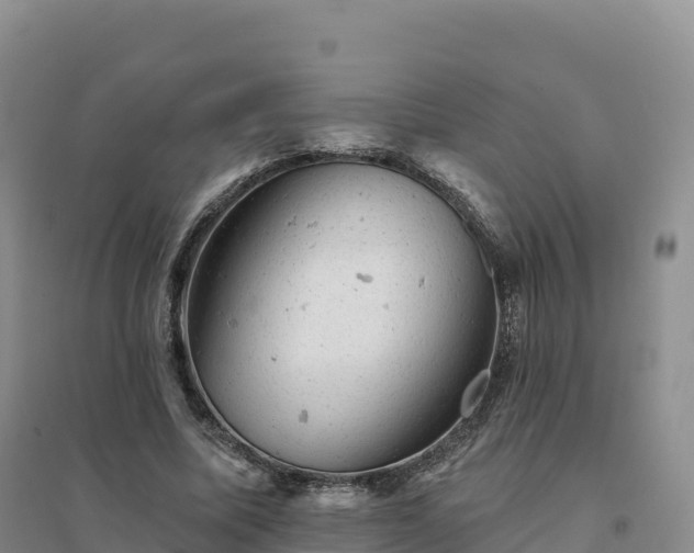 X0000094380587200711091603