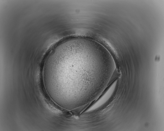 X0000094380588200711091603