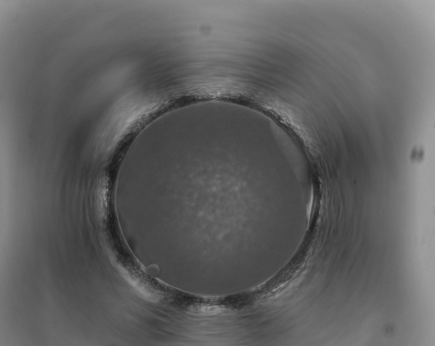 X0000094380590200711091603