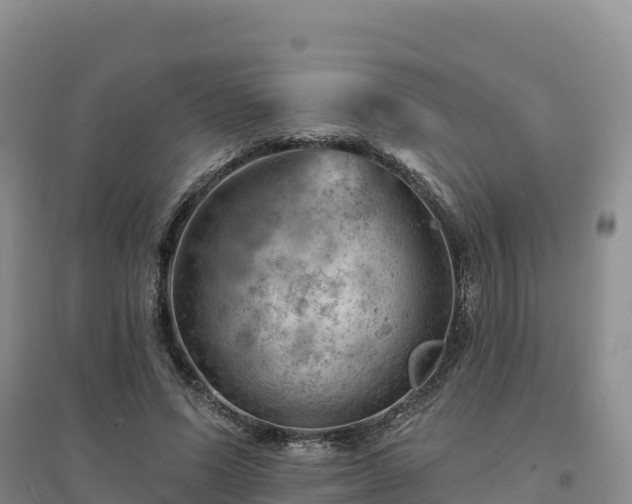 X0000094380591200711091603