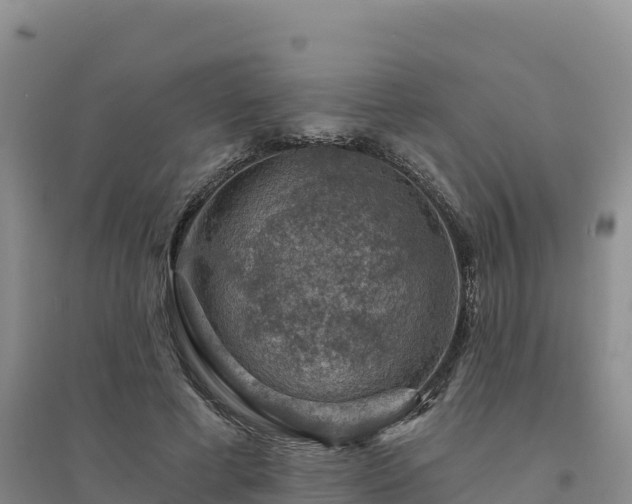 X0000094380593200711091603