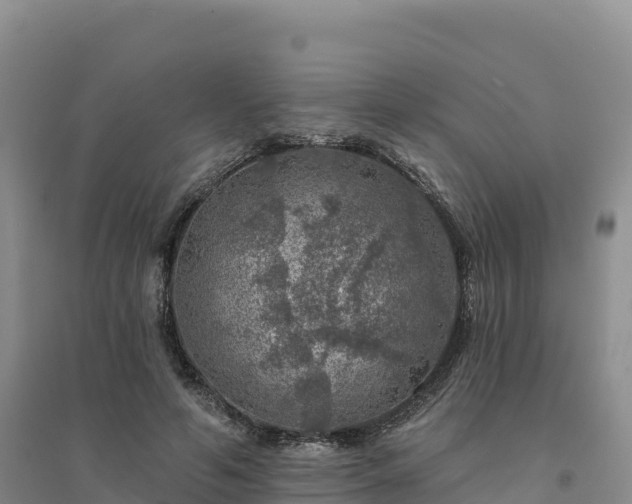 X0000094380594200711091603