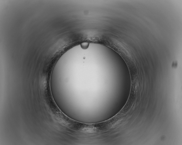X0000094380595200711091603
