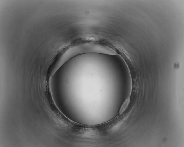 X0000094380597200711091603
