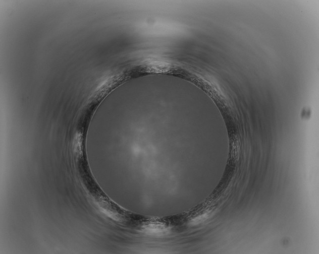 X0000094380598200711091603