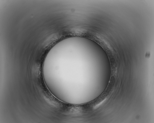 X0000094380599200711091603