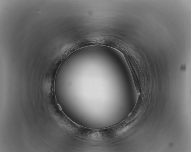 X0000094380600200711091603
