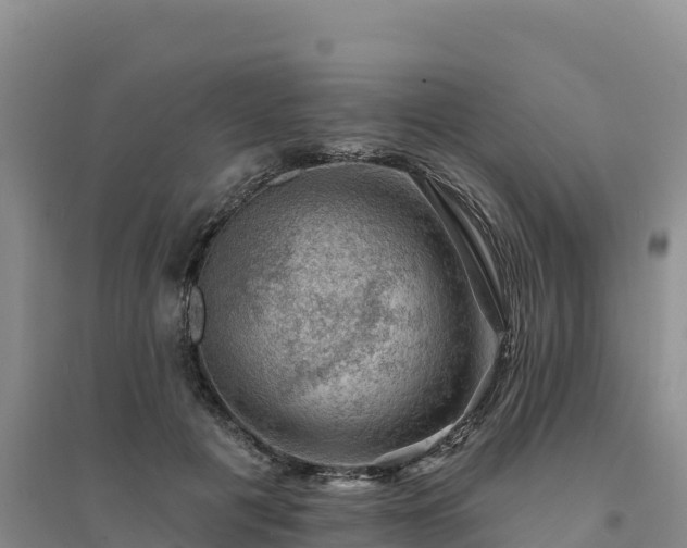 X0000094380601200711091603