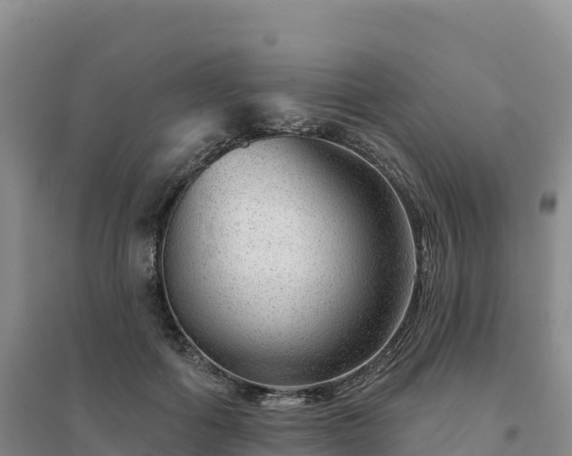 X0000094380602200711091603