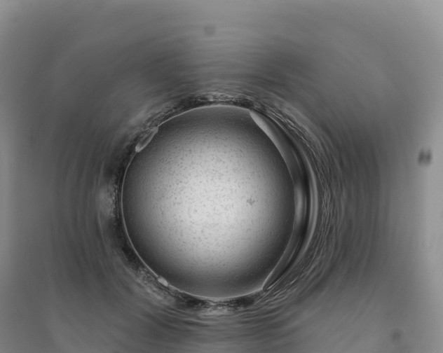 X0000094380604200711091603