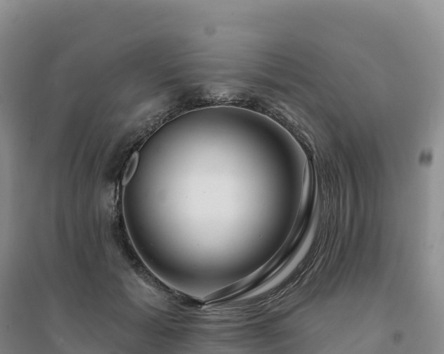 X0000094380605200711091603