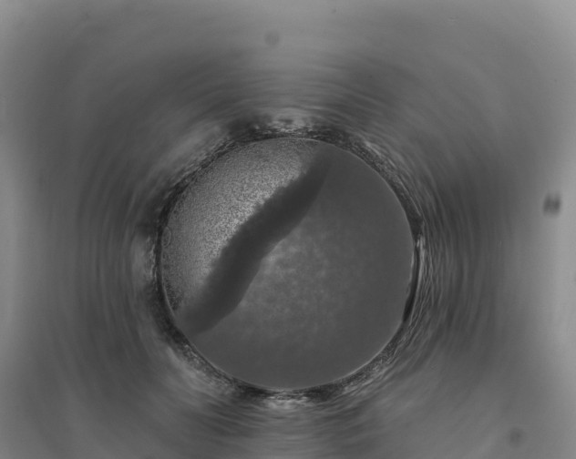 X0000094380606200711091603