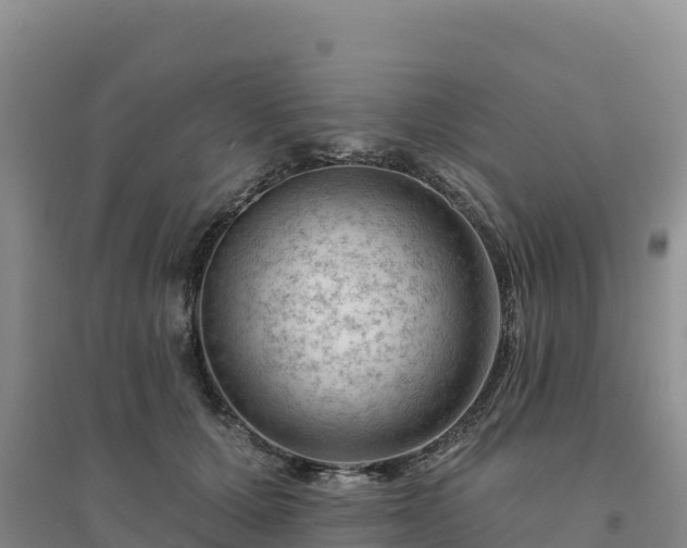 X0000094380607200711091603