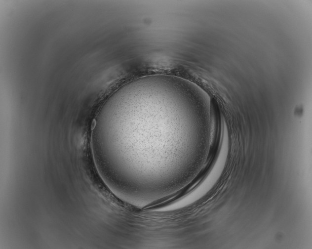 X0000094380608200711091603