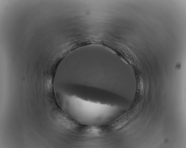 X0000094380610200711091603