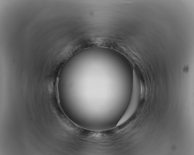 X0000094380611200711091603