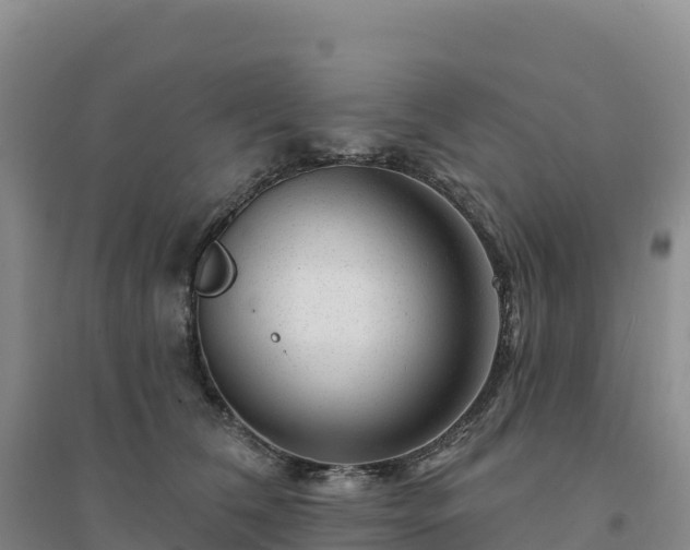 X0000094380612200711091603