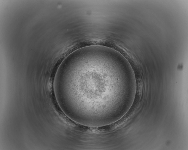 X0000094380613200711091603