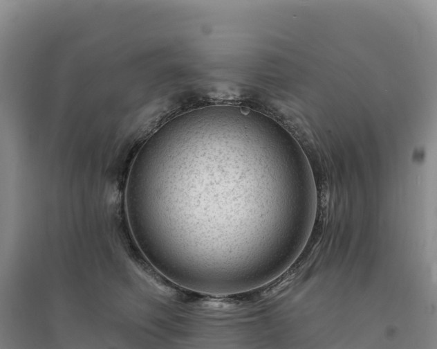 X0000094380614200711091603