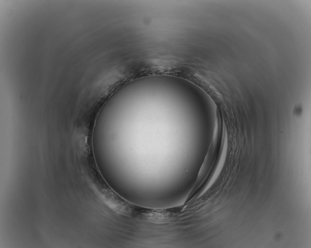 X0000094380615200711091603